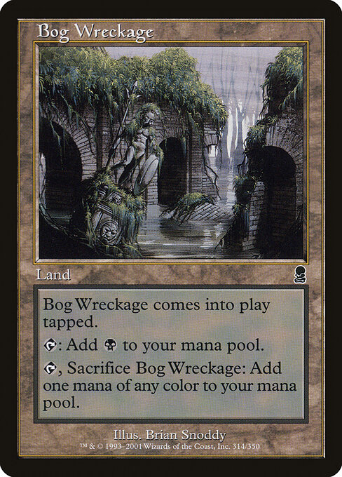 Bog Wreckage 314