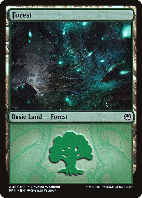 Forest A06