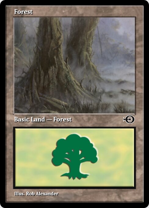 Forest 31983