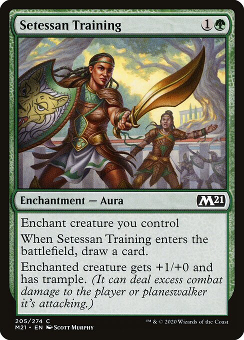 Setessan Training 205