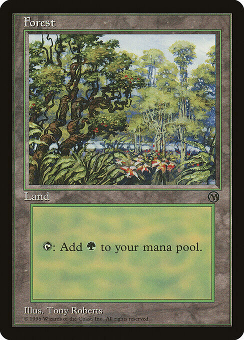 Forest 5