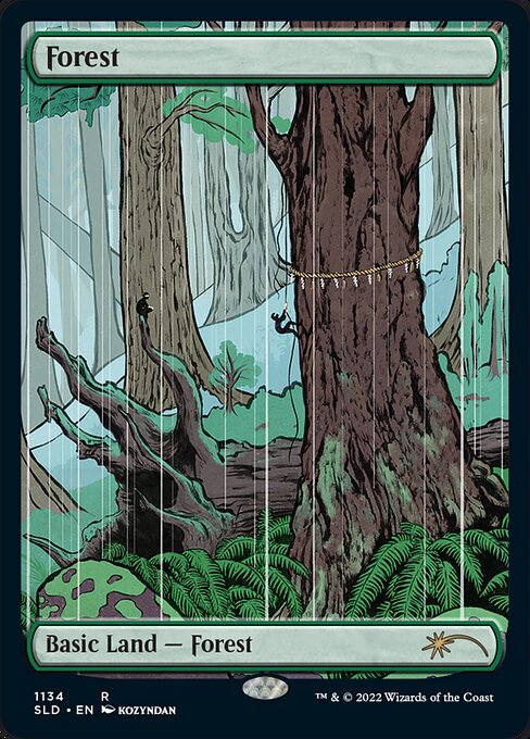 Forest 1134