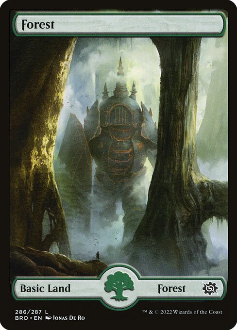 Forest 286