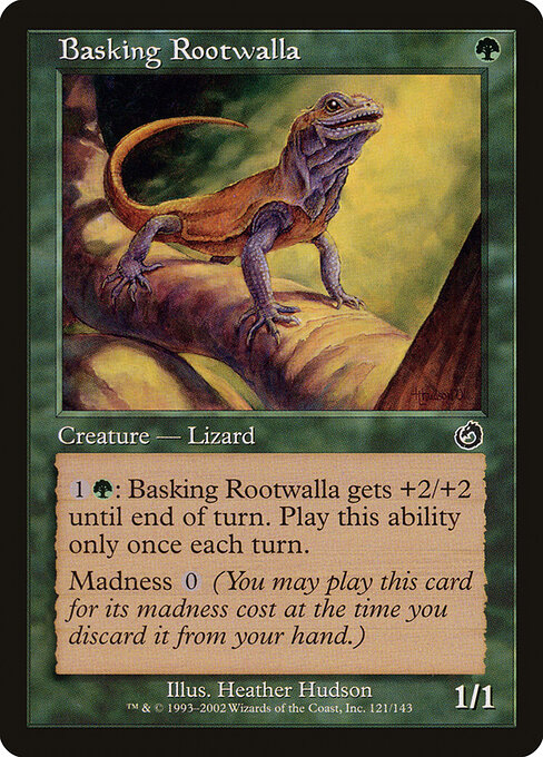 Basking Rootwalla 121