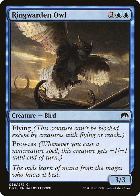 Ringwarden Owl 68