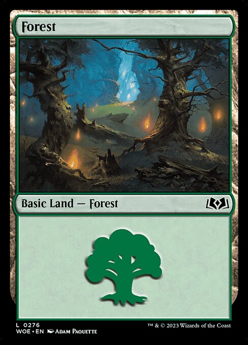 Forest 276