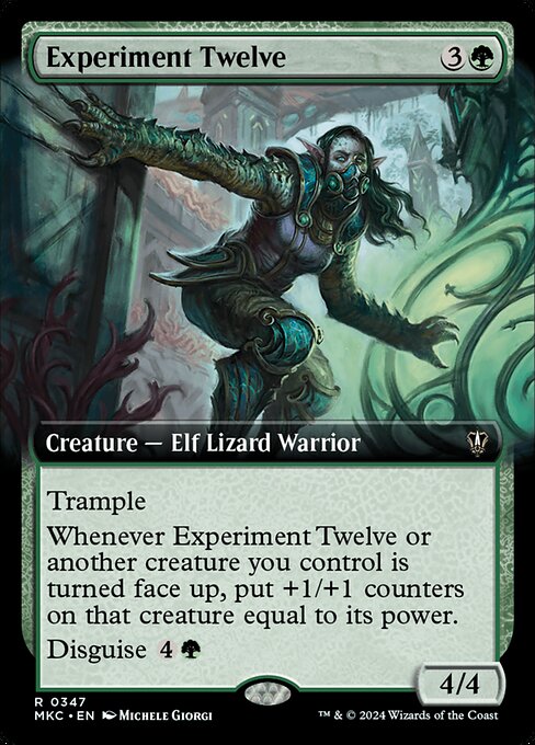 Experiment Twelve 347