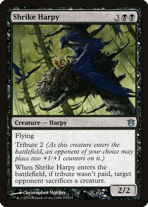 Shrike Harpy 83