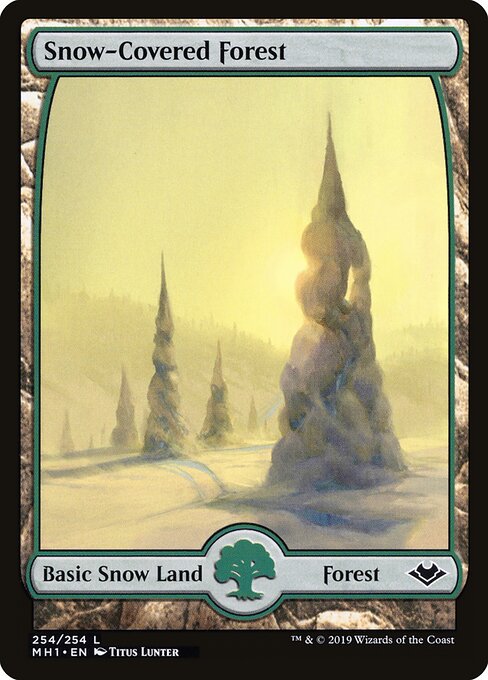 Snow-Covered Forest 254