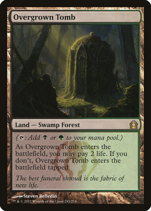Overgrown Tomb 243