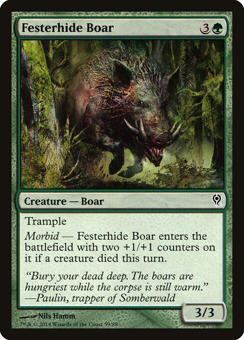 Festerhide Boar 59