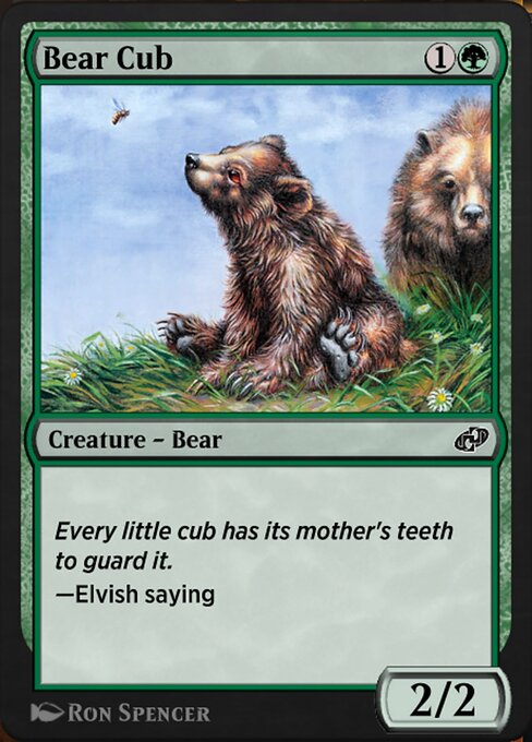 Bear Cub 546
