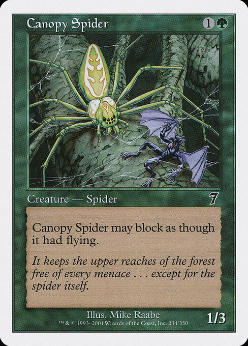 Canopy Spider 234