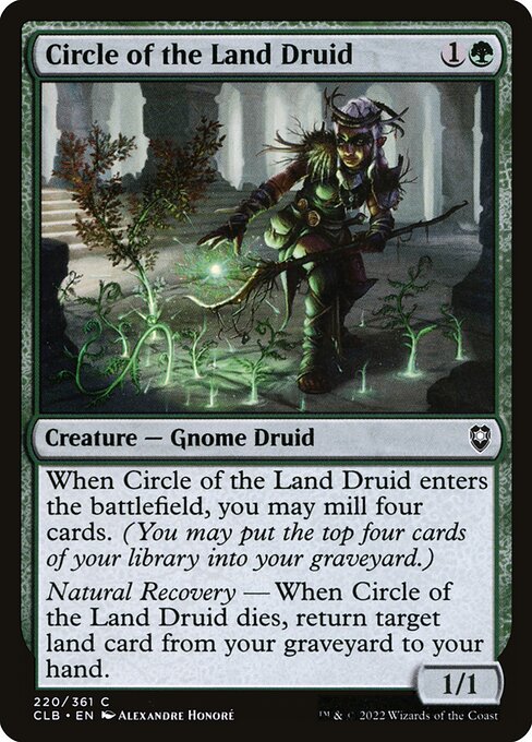 Circle of the Land Druid 220