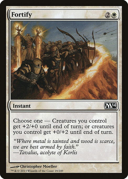 Fortify 19