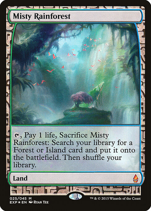 Misty Rainforest 25