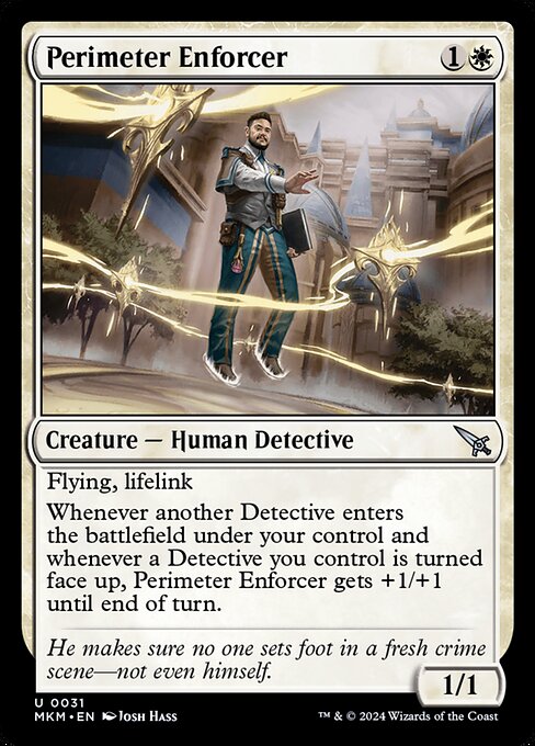 Perimeter Enforcer 31