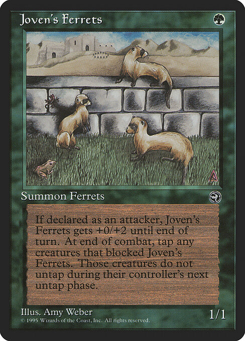 Joven's Ferrets 89
