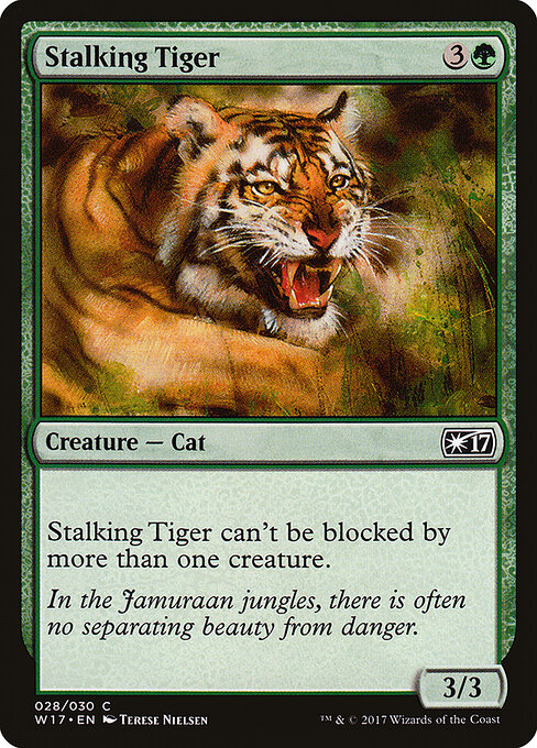 Stalking Tiger 28