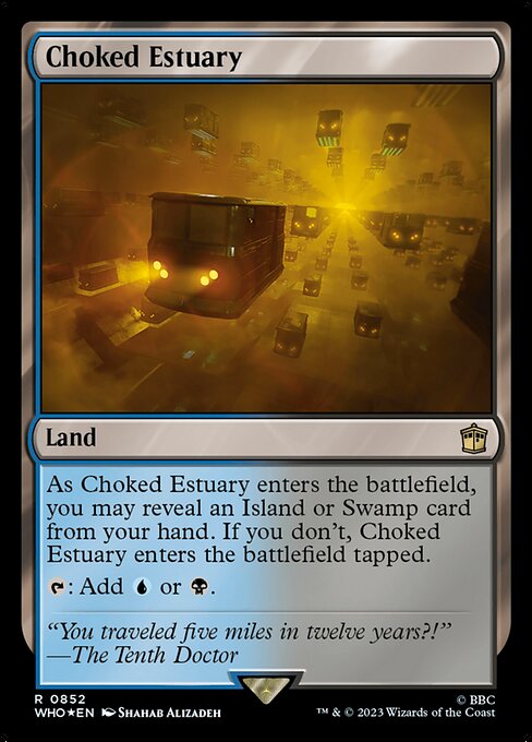 Choked Estuary 852
