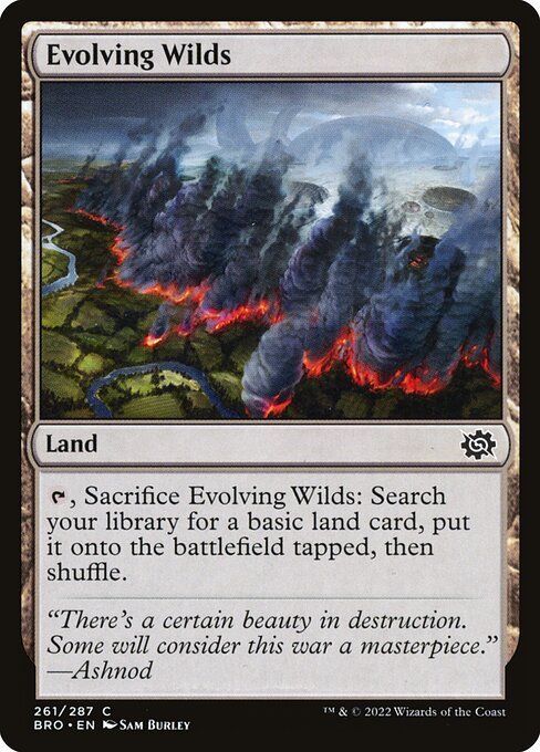 Evolving Wilds 261