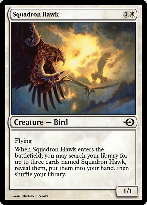 Squadron Hawk 39675