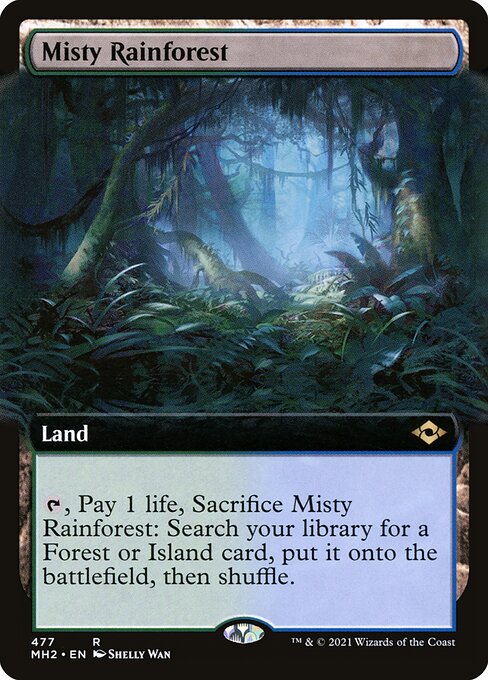 Misty Rainforest 477