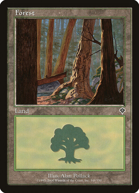 Forest 348