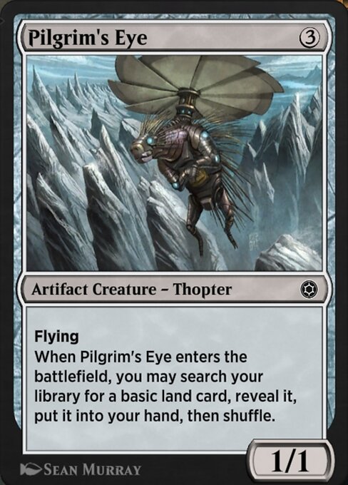 Pilgrim's Eye 263