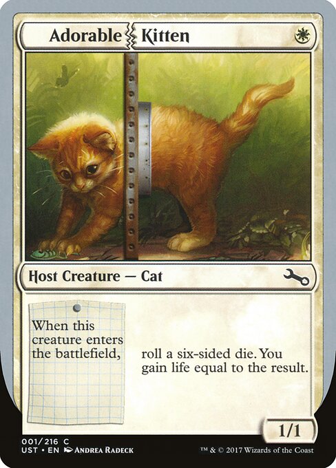 Adorable Kitten 1
