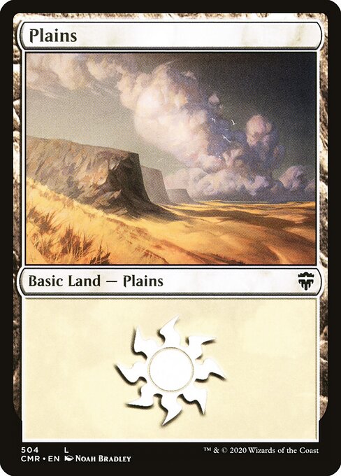 Plains 504