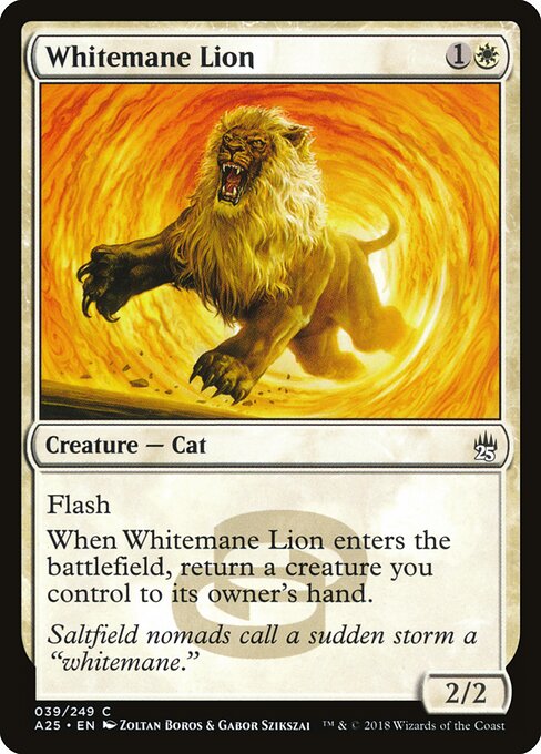 Whitemane Lion 39