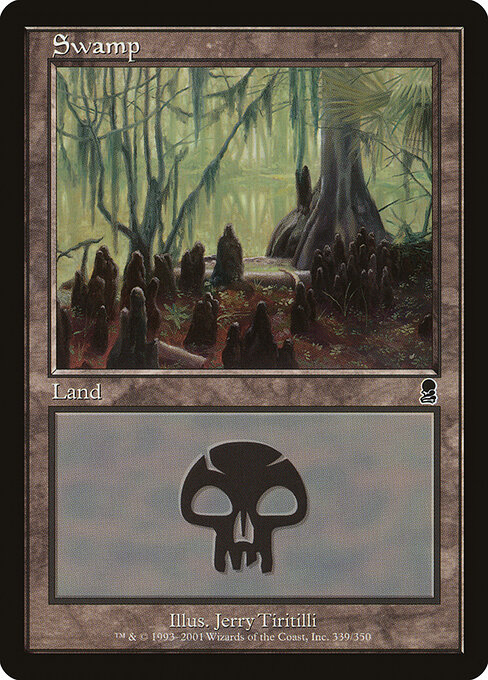 Swamp 339