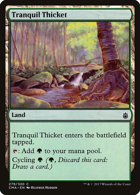 Tranquil Thicket 279