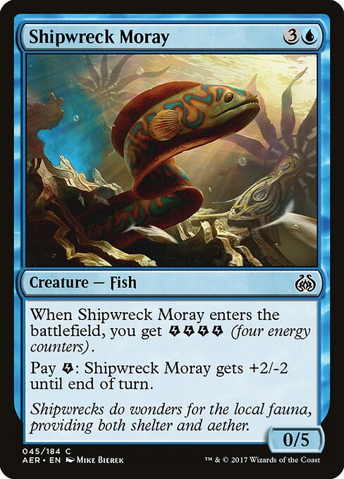 Shipwreck Moray 45