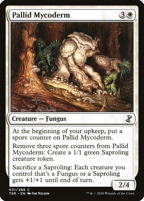 Pallid Mycoderm 31