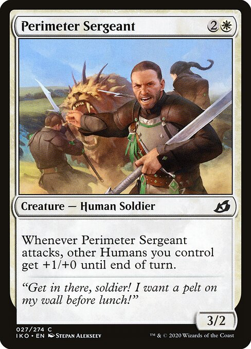Perimeter Sergeant 27