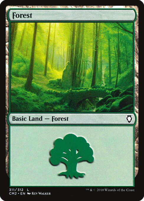 Forest 311
