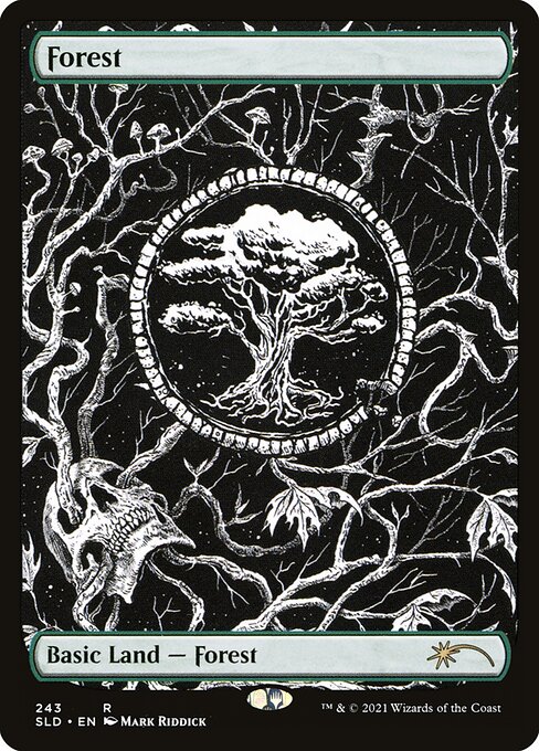 Forest 243