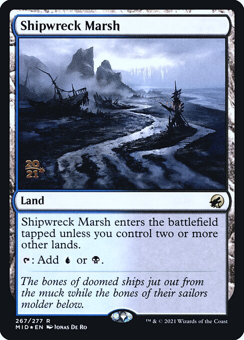 Shipwreck Marsh 267s