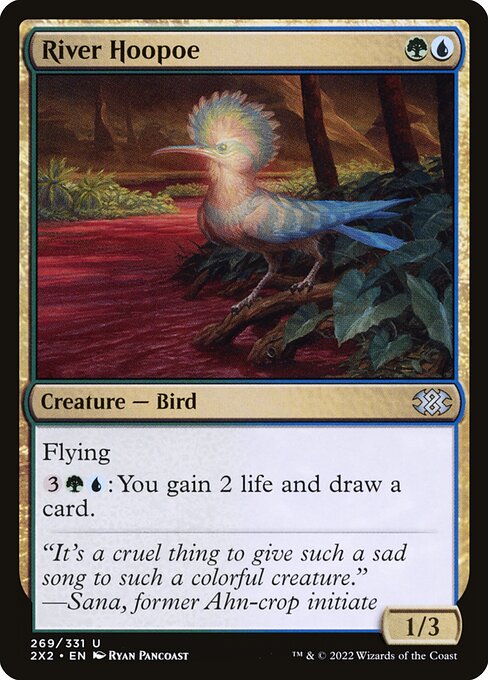 River Hoopoe 269