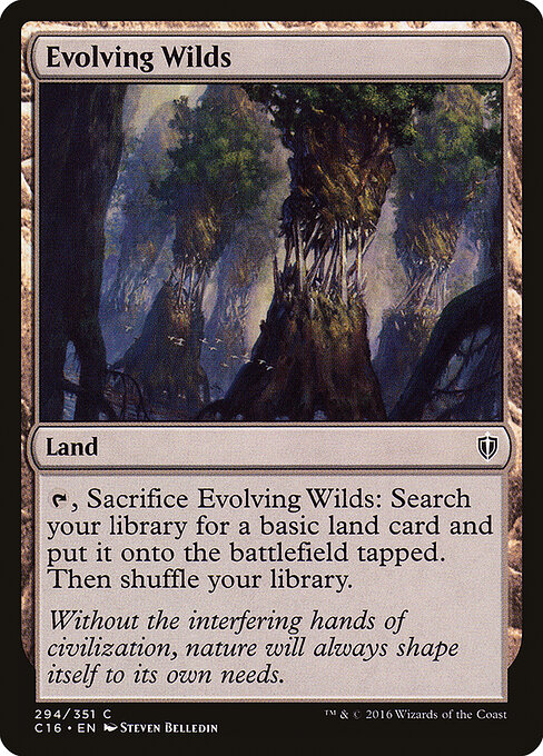 Evolving Wilds 294