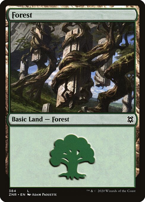 Forest 384