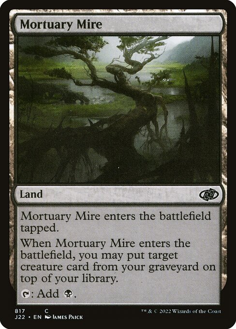 Mortuary Mire 817