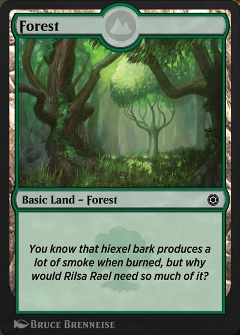 Forest 305