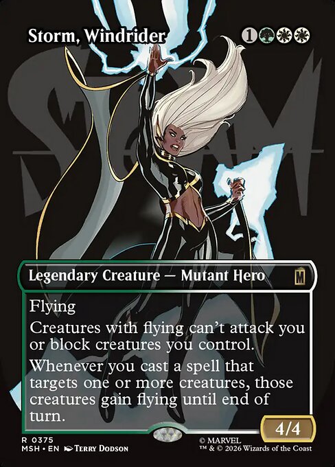 Storm, Windrider 375