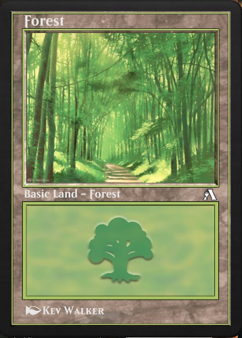 Forest 19