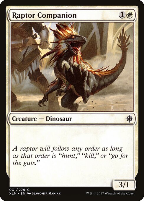 Raptor Companion 31