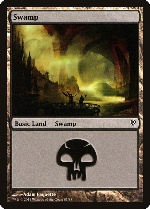Swamp 81