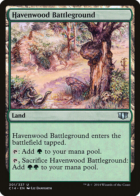 Havenwood Battleground 301